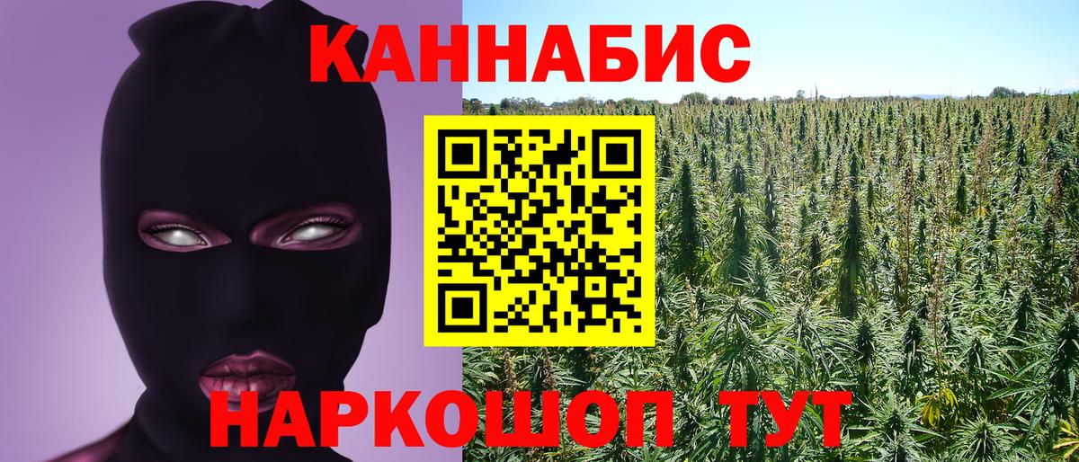 Шишки марихуана конопля  Конопля гибрид  Марихуана тримм  Вход с VPN  Томск 